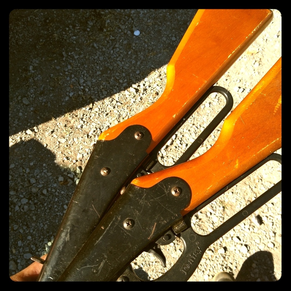 Set of 2 dasiey bucks